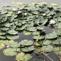 23-09-18 16-26-02 7059